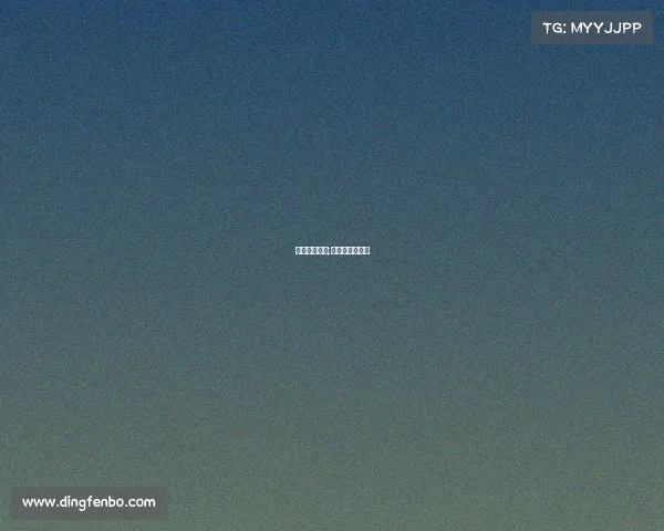 柏林电子竞技;柏林国际俱乐部